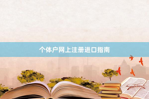 个体户网上注册进口指南